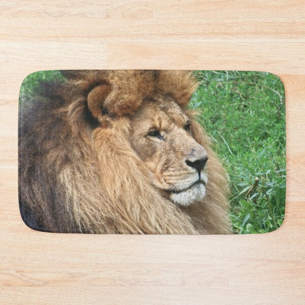 Item preview, Lion 001 designed and sold by JAMFoto.