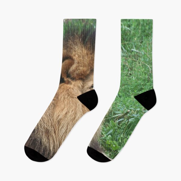 Item preview, Lion 001 designed and sold by JAMFoto.