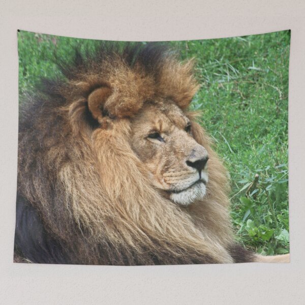 Item preview, Lion 001 designed and sold by JAMFoto.