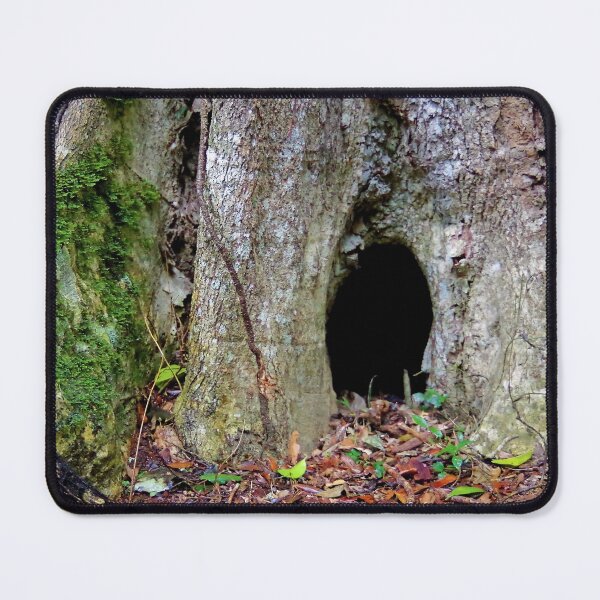 Item preview, Fairy home designed and sold by Penny Kittel.