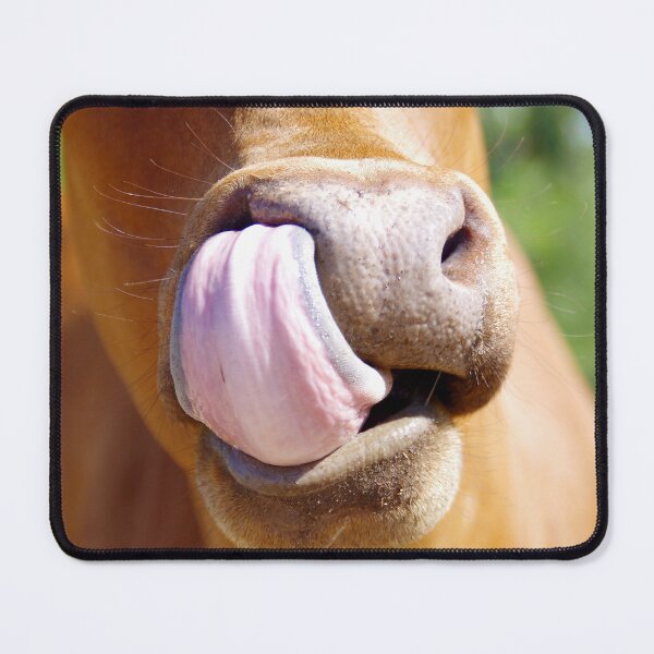 Item preview, Lick pick designed and sold by Penny Kittel.