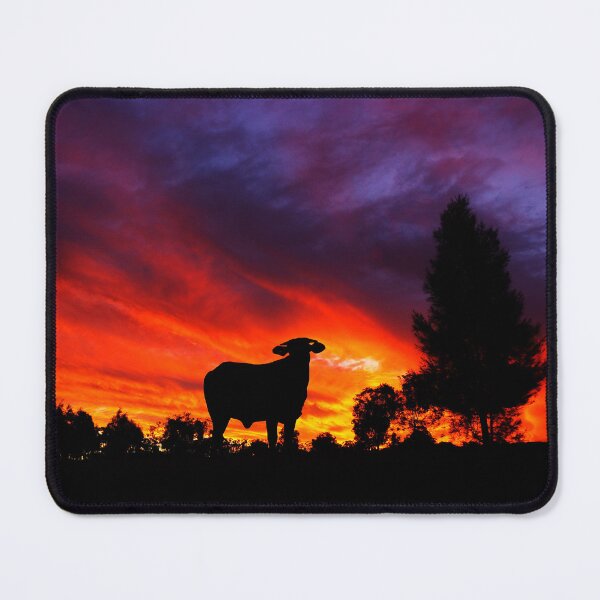 Item preview, Sunset Droughtmaster designed and sold by Penny Kittel.