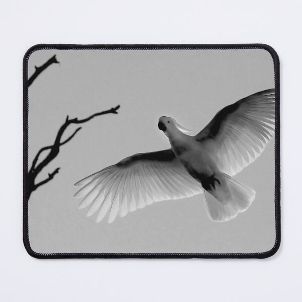 Item preview, Light Bird designed and sold by Penny Kittel.