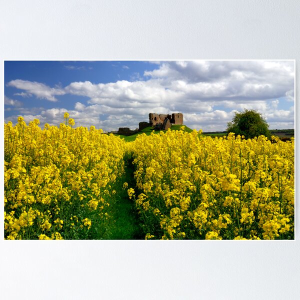Duffus Castle Poster