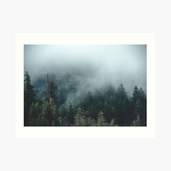 Foggy Forest Wall Art Redbubble