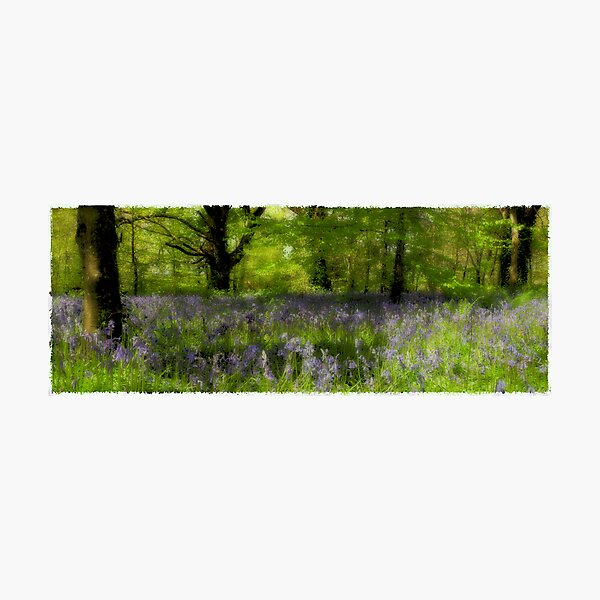 Item preview, Bluebells II designed and sold by Alan McMorris.