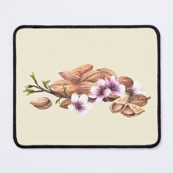 Item preview, Almond tree branch with leaves flowers. Shelled and unshelled nuts. Watercolor painted illustration designed and sold by BartolArt.