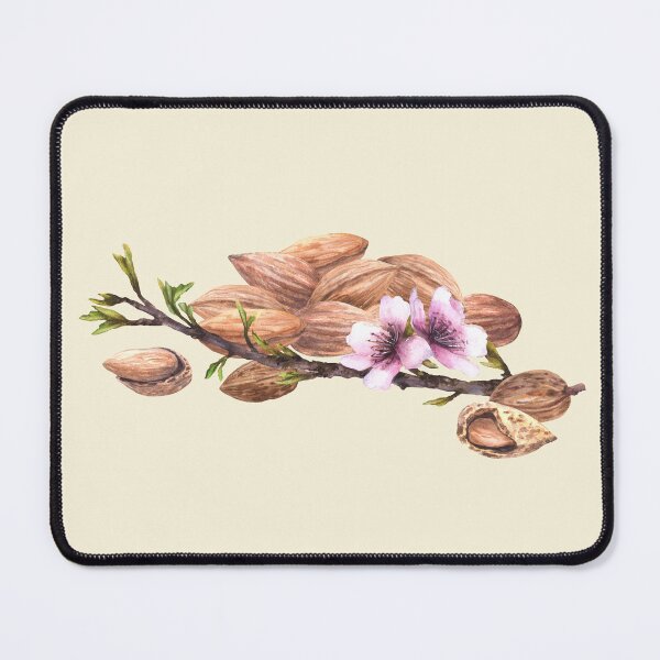 Item preview, Almond tree branch with leaves flowers and harvest nuts. Watercolor painted illustration designed and sold by BartolArt.