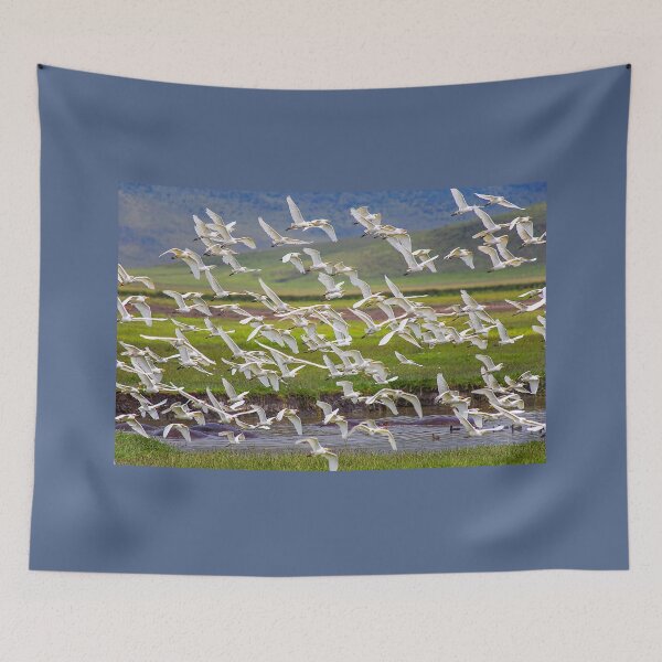 Item preview, Tanzania. Ngorongoro Conservation Area. Flying Birds. designed and sold by vadim19.