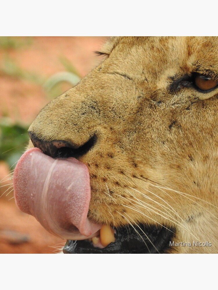 Bolsa de tela «La lengua del león» de martina | Redbubble