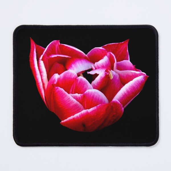 Item preview, pink tulip designed and sold by Valentina-V.
