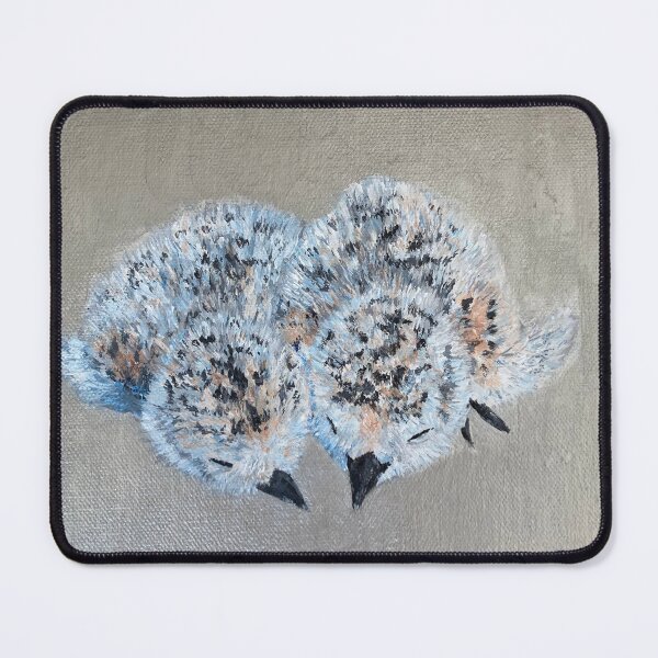 Item preview, Snowy Plover Chicks designed and sold by serissazhu.