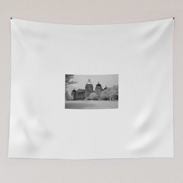 Item preview, Iowa State Capitol designed and sold by Metro174.