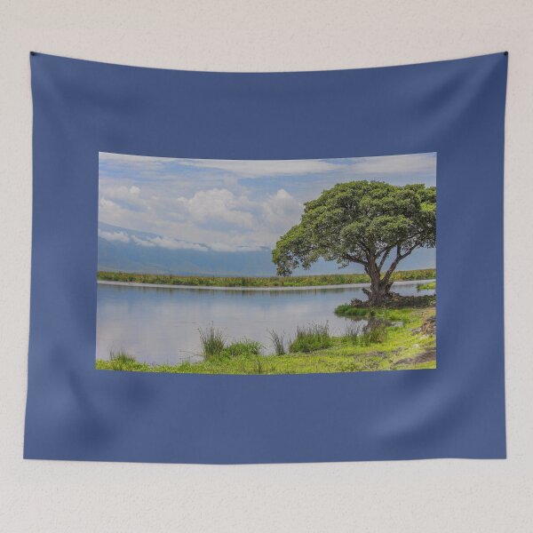 Item preview, Tanzania. Ngorongoro Conservation Area. Tree at the Lake. designed and sold by vadim19.