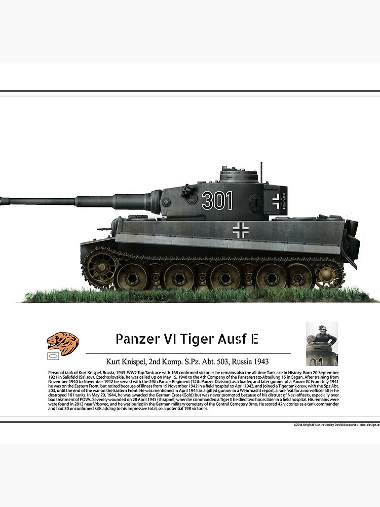 Amazon.com: Erinnerung an die Tiger-Abteilung 503: Die