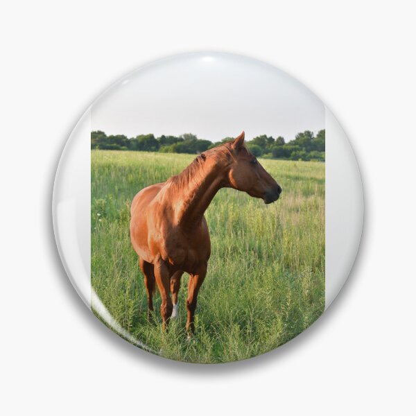 Item preview, Brown Horse in Farm Field designed and sold by SEEphotos7171.
