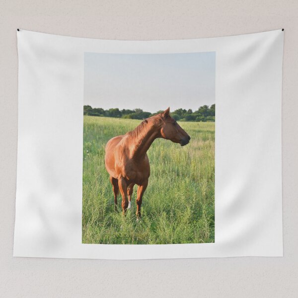 Item preview, Brown Horse in Farm Field designed and sold by SEEphotos7171.