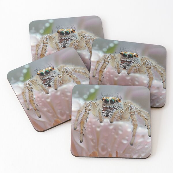 Item preview, Close-up of a jumping spider on a flower with water drops designed and sold by Artessie.