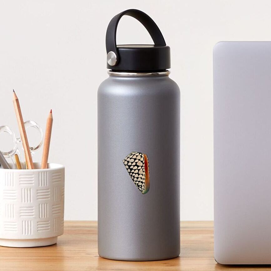 Marbled Cone Sticker