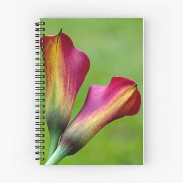 Item preview, Calla Lilies designed and sold by clint hudson.