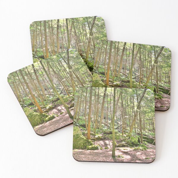Item preview, Hiking Through McConnells Mill State Park Pennsylvania designed and sold by LisaWootenPhoto.