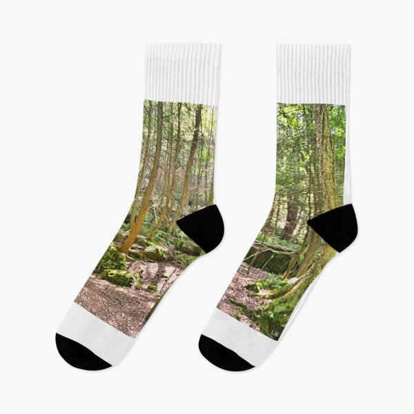 Item preview, Hiking Through McConnells Mill State Park Pennsylvania designed and sold by LisaWootenPhoto.