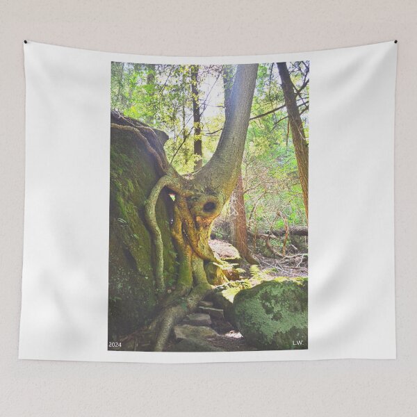 Item preview, Amazing Determination designed and sold by LisaWootenPhoto.