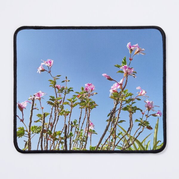Item preview, Blossoms in the Sky designed and sold by Mel Moreno.