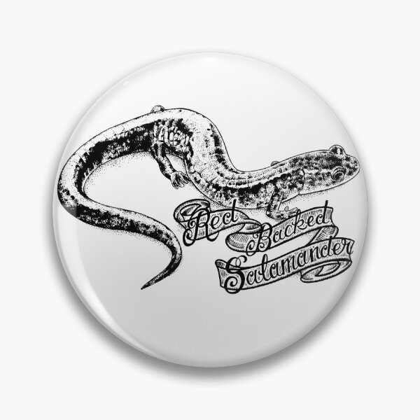 Item preview, Red Backed Salamander (Plethodon cinereus) designed and sold by UnderfootStudio.