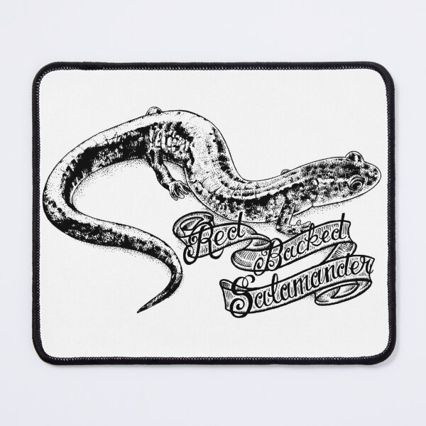 Item preview, Red Backed Salamander (Plethodon cinereus) designed and sold by UnderfootStudio.