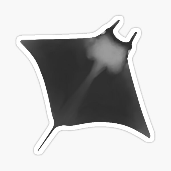 Vista previa del artículo con la obra «Mobula Ray», diseñado y vendido por CielPetit.