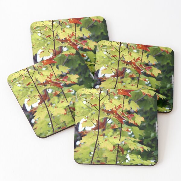 Item preview, Hint of Autumn  designed and sold by photoclique.