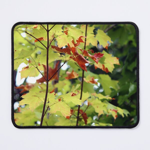 Item preview, Hint of Autumn designed and sold by photoclique.