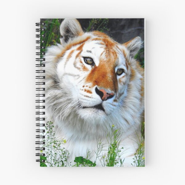 Item preview, Tigre blanqueado designed and sold by Barnbk02.