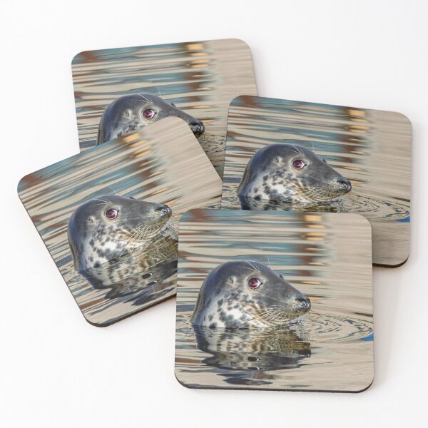 Item preview, Grey Seal designed and sold by Tom McPherson Photography.