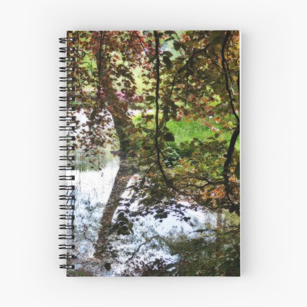 Item preview, Himalayan Gardens reflections 2, dreamy edit designed and sold by paulboizot.