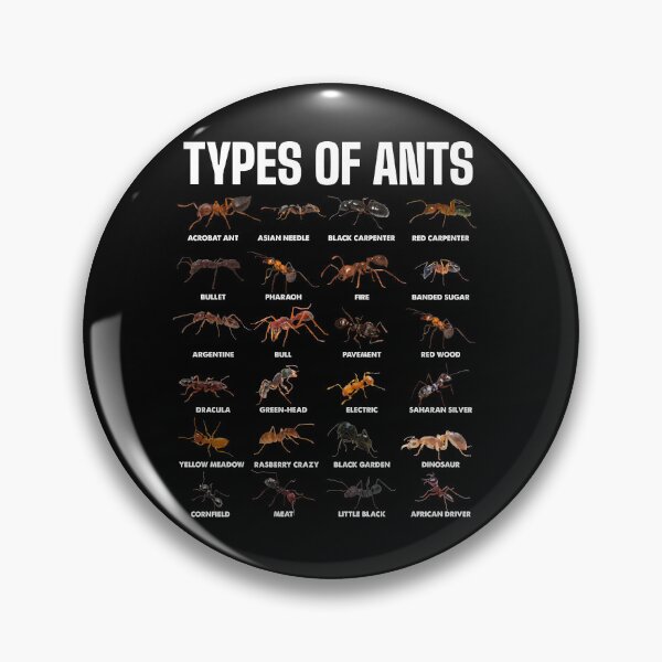Item preview, Types of Ants for Ant Keeper Lovers designed and sold by NUMAcreations.