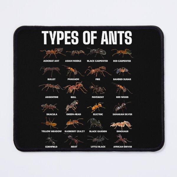Item preview, Types of Ants for Ant Keeper Lovers designed and sold by NUMAcreations.