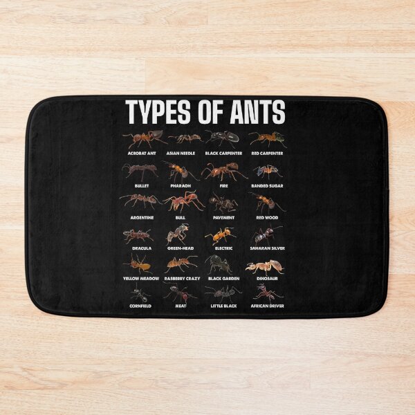 Item preview, Types of Ants for Ant Keeper Lovers designed and sold by NUMAcreations.
