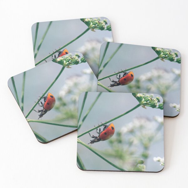 Item preview, Ladybug on Poison Hemlock with White Flowers designed and sold by pixelmountain.