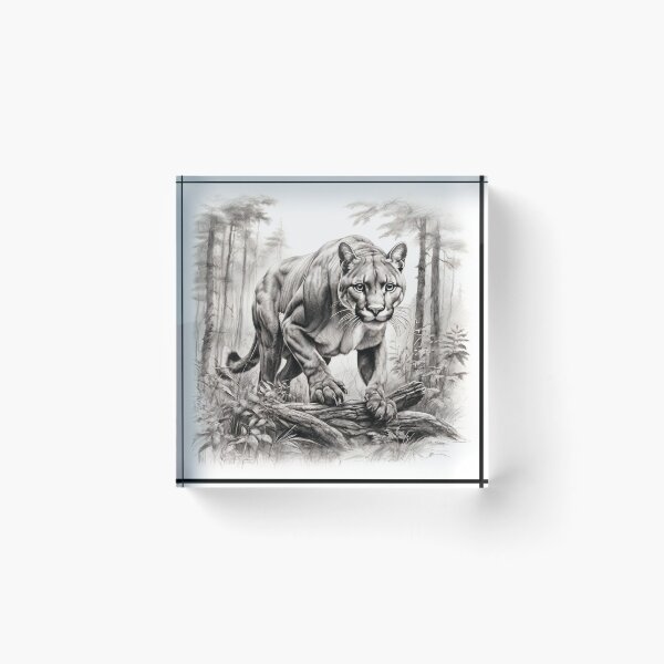 Item preview, Black and white pencil drawing of a Puma designed and sold by Pencil-Art.