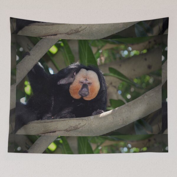 Item preview, Saki Monkey  designed and sold by Savannah Gibbs.