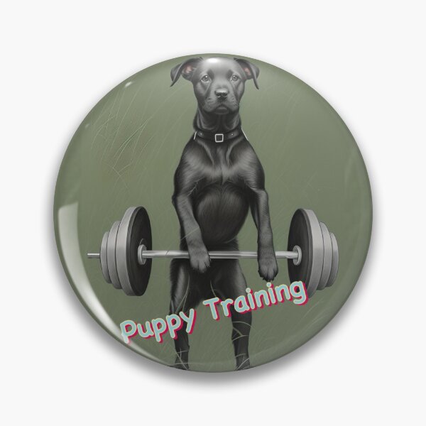 Item preview, Training designed and sold by Glenbobagins.