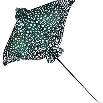 Artwork thumbnail, Spotted Eagle Ray by CielPetit