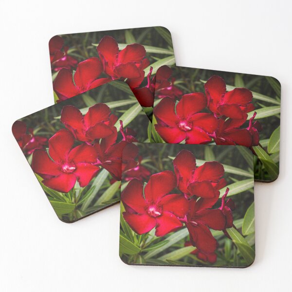 Item preview, Red Velvet designed and sold by CresswellPhotos.