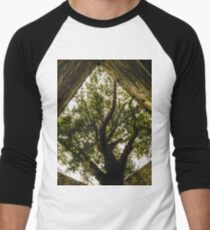 Yew Tree at Muckross Abbey - Killarney National Park Ireland Men's Baseball ¾ T-Shirt