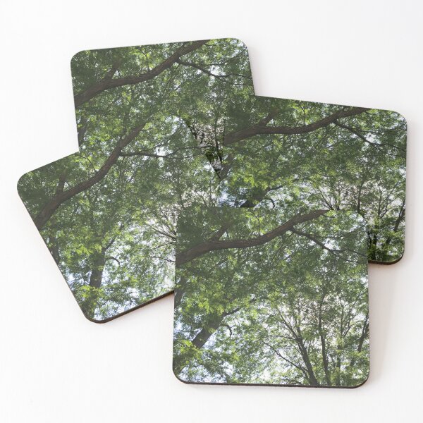 Item preview, Summer Canopy of Trees designed and sold by RoseTreeGifts.