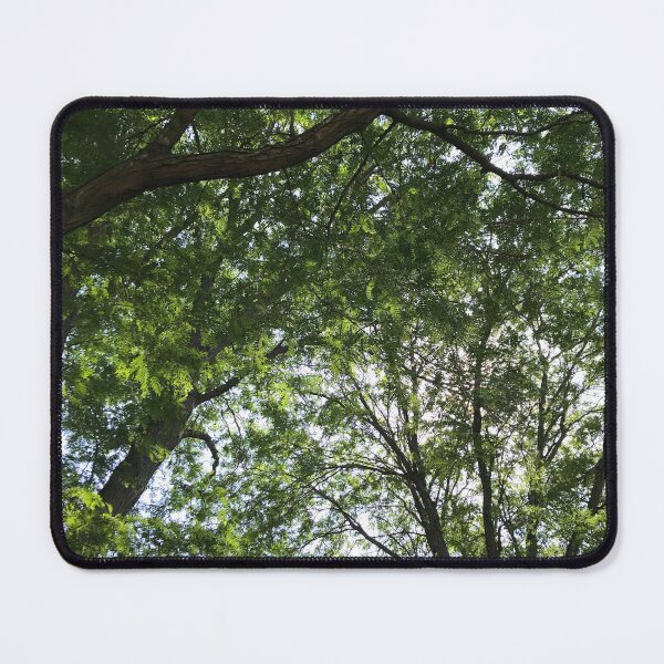 Item preview, Summer Canopy of Trees designed and sold by RoseTreeGifts.
