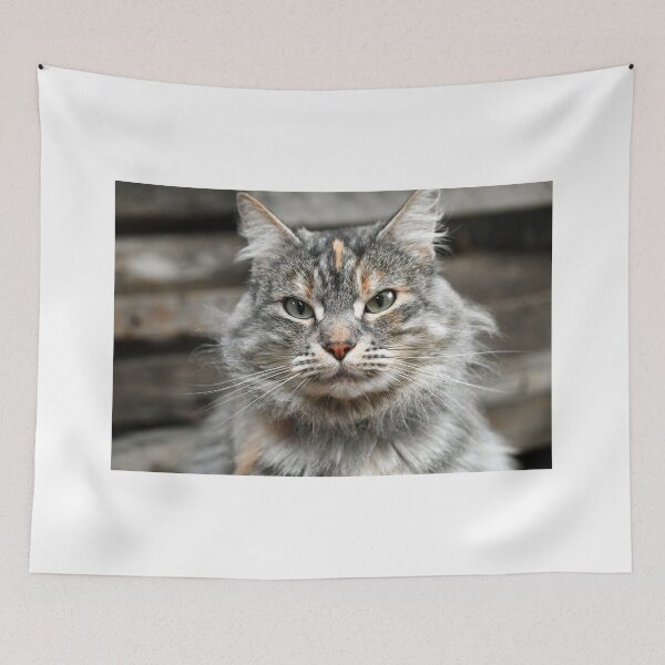 Item preview, cat look designed and sold by bagiolita.