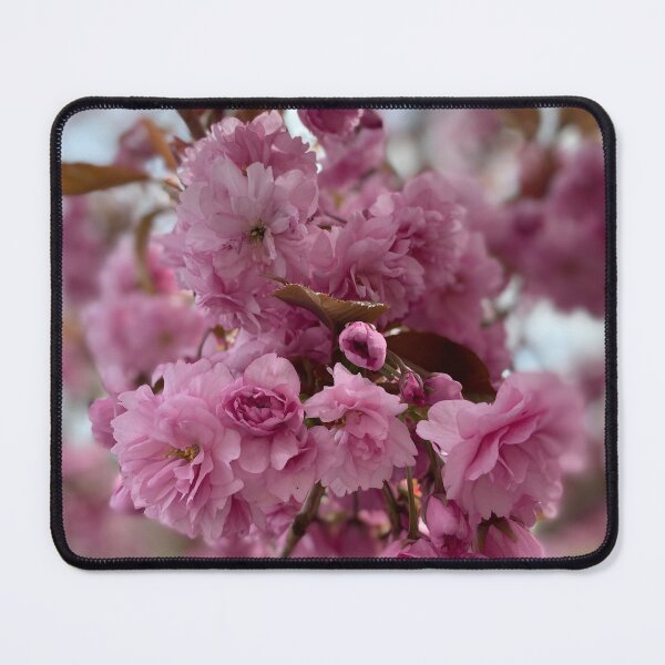 Item preview, Cherry Blossom  designed and sold by simplyfansite.